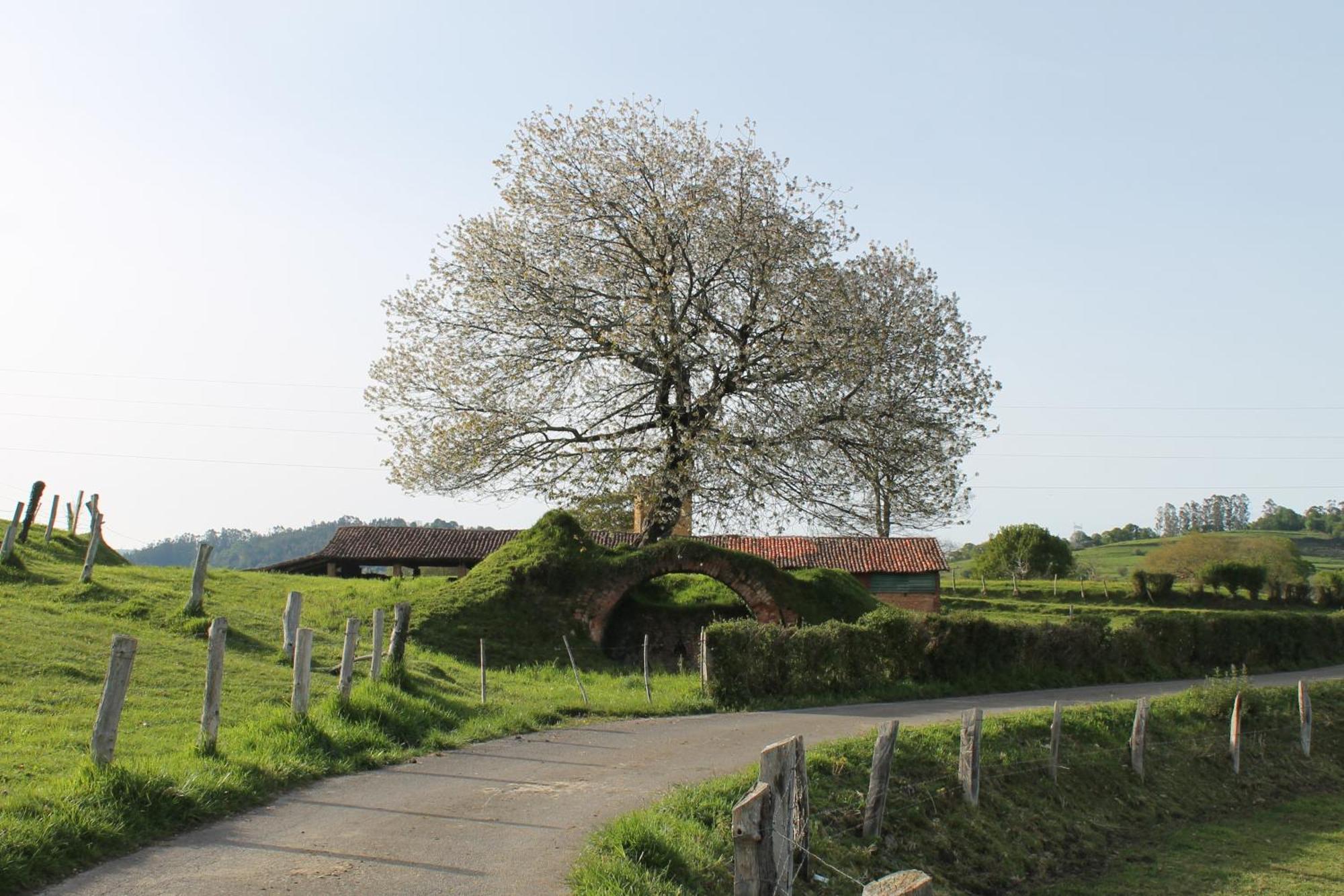 Casa De Aldea Monga 9 En Nava, Asturias Villa Exterior foto