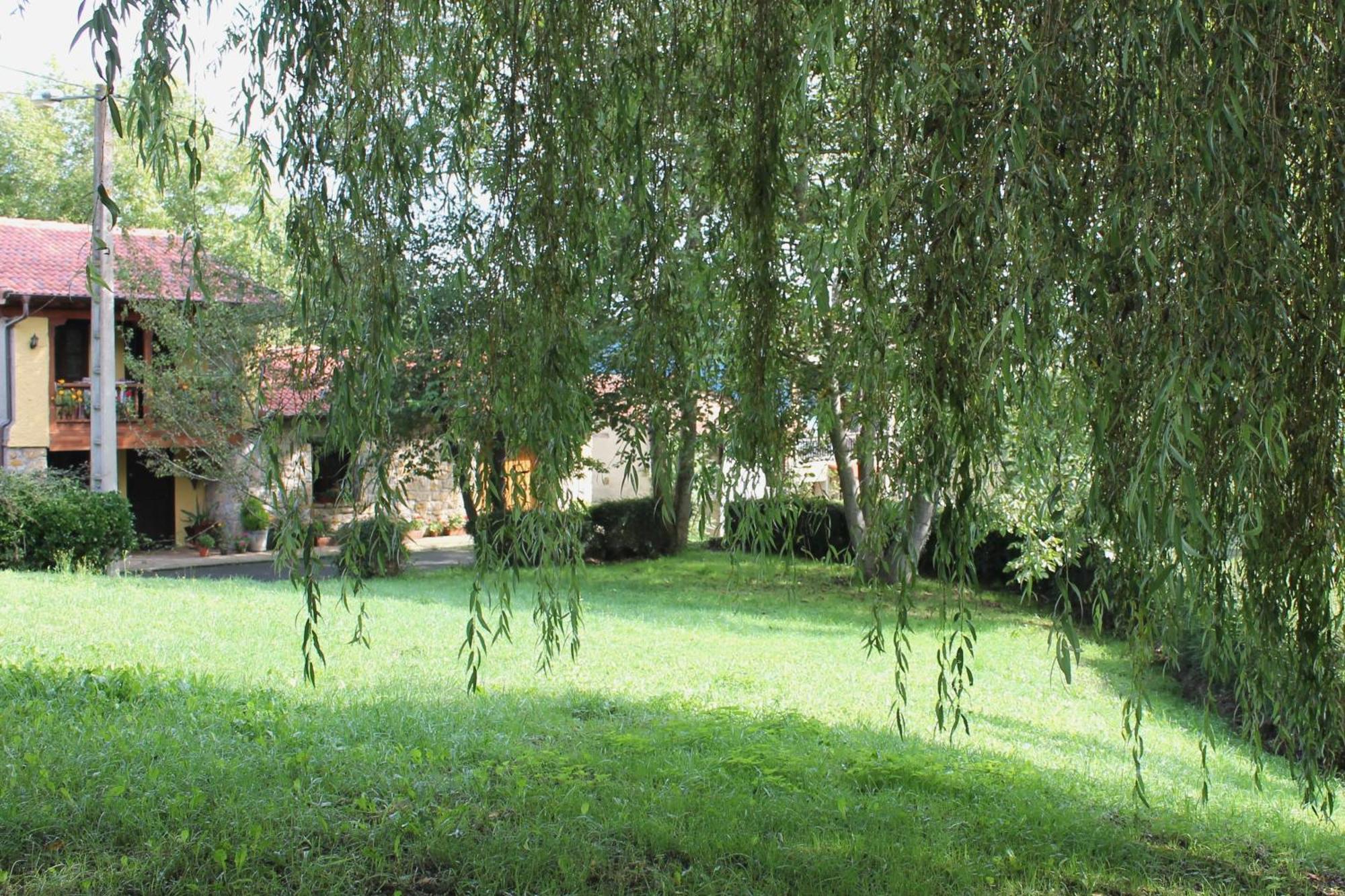 Casa De Aldea Monga 9 En Nava, Asturias Villa Exterior foto